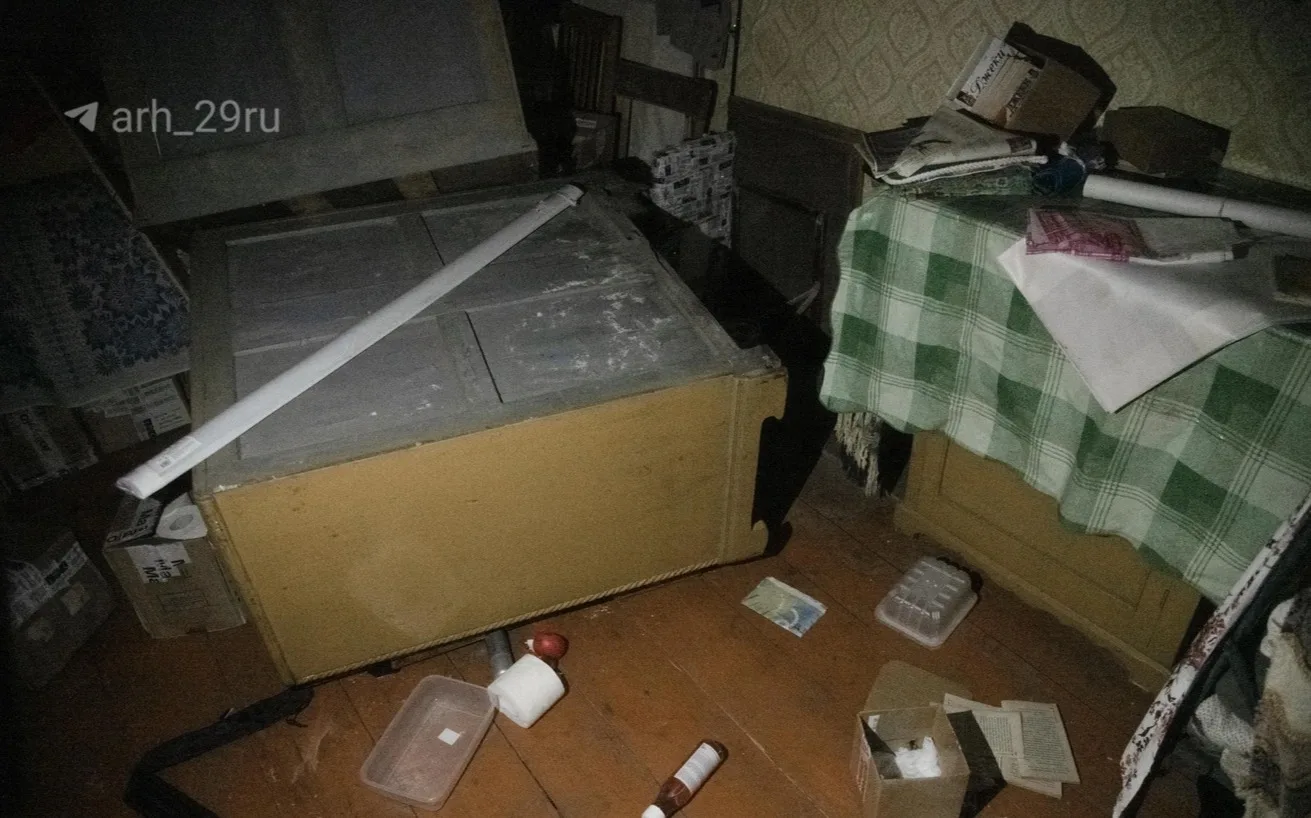 Показываем, что медведи натворили в домах Верхней Золотицы 🫠