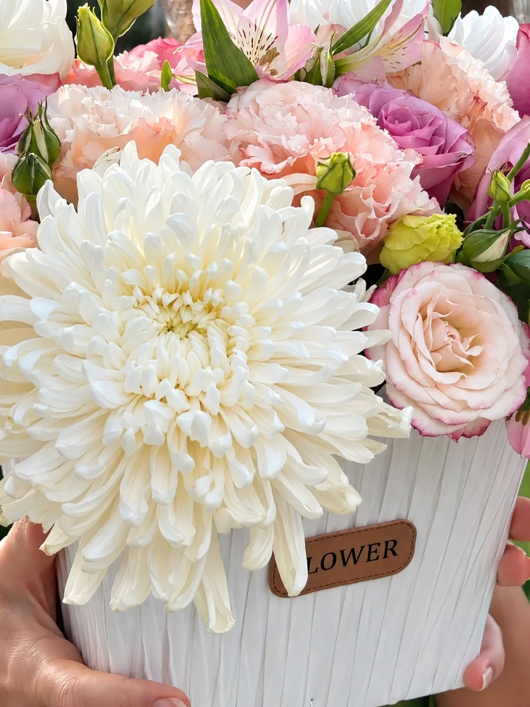 🌸 Нежность, перед которой невозможно устоять 💗
