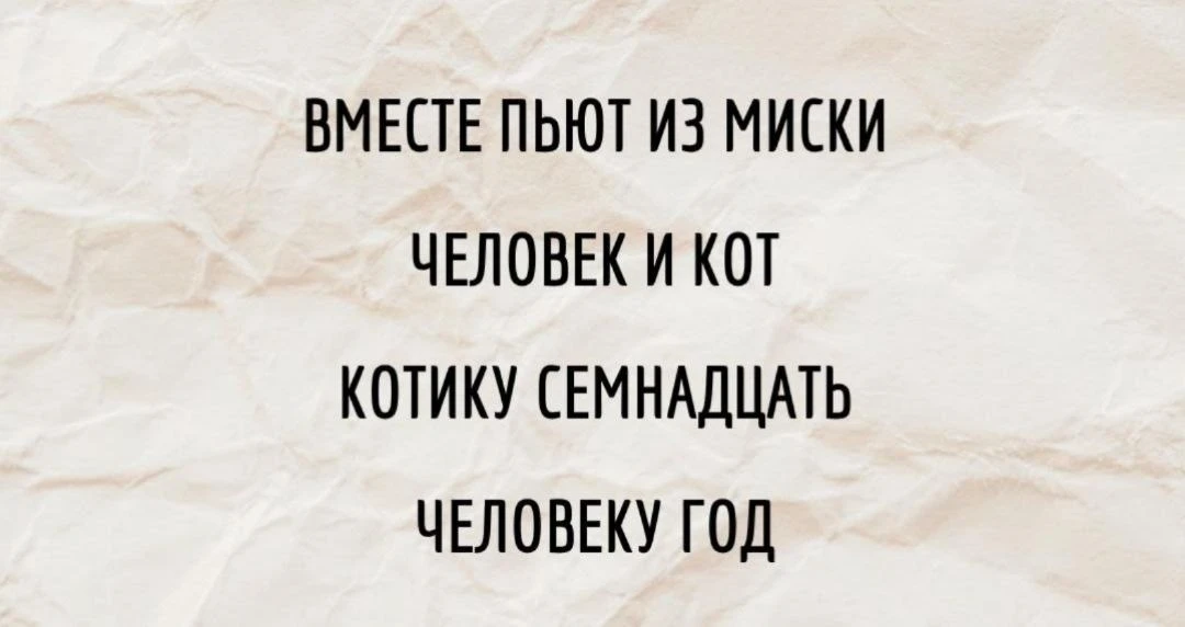 Любишь ли ты котиков так, как любим их мы? Тогда присоединяйся!