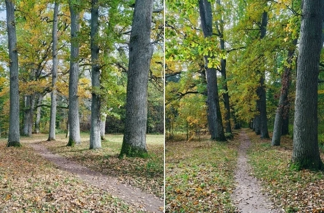 Гатчинский район.