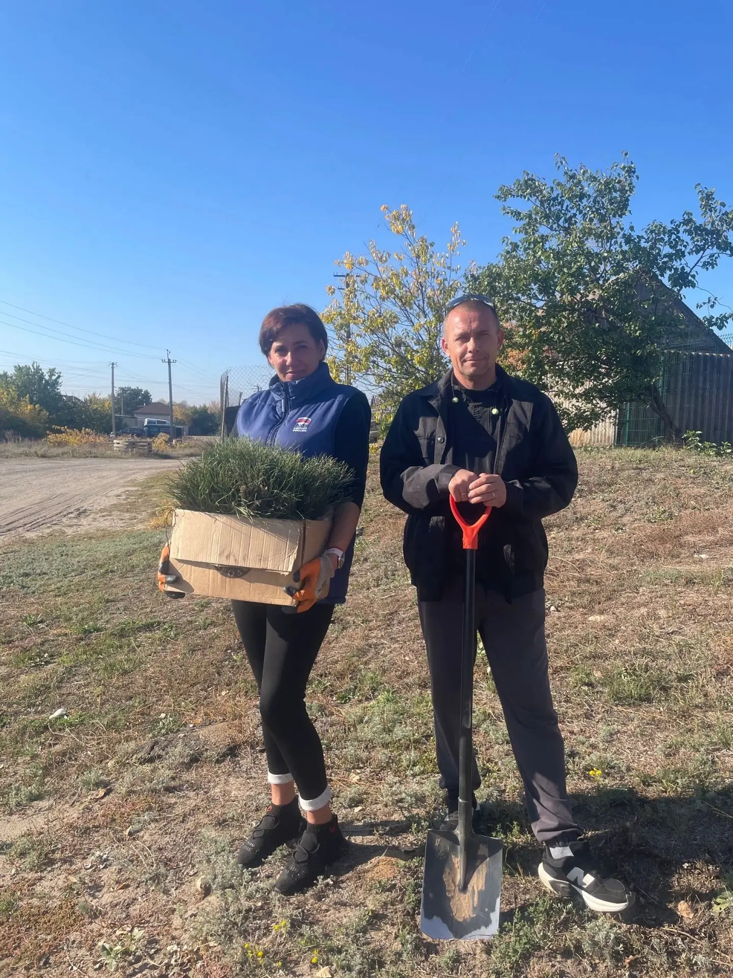 🌲 В Старобельском округе высадили крымские сосны