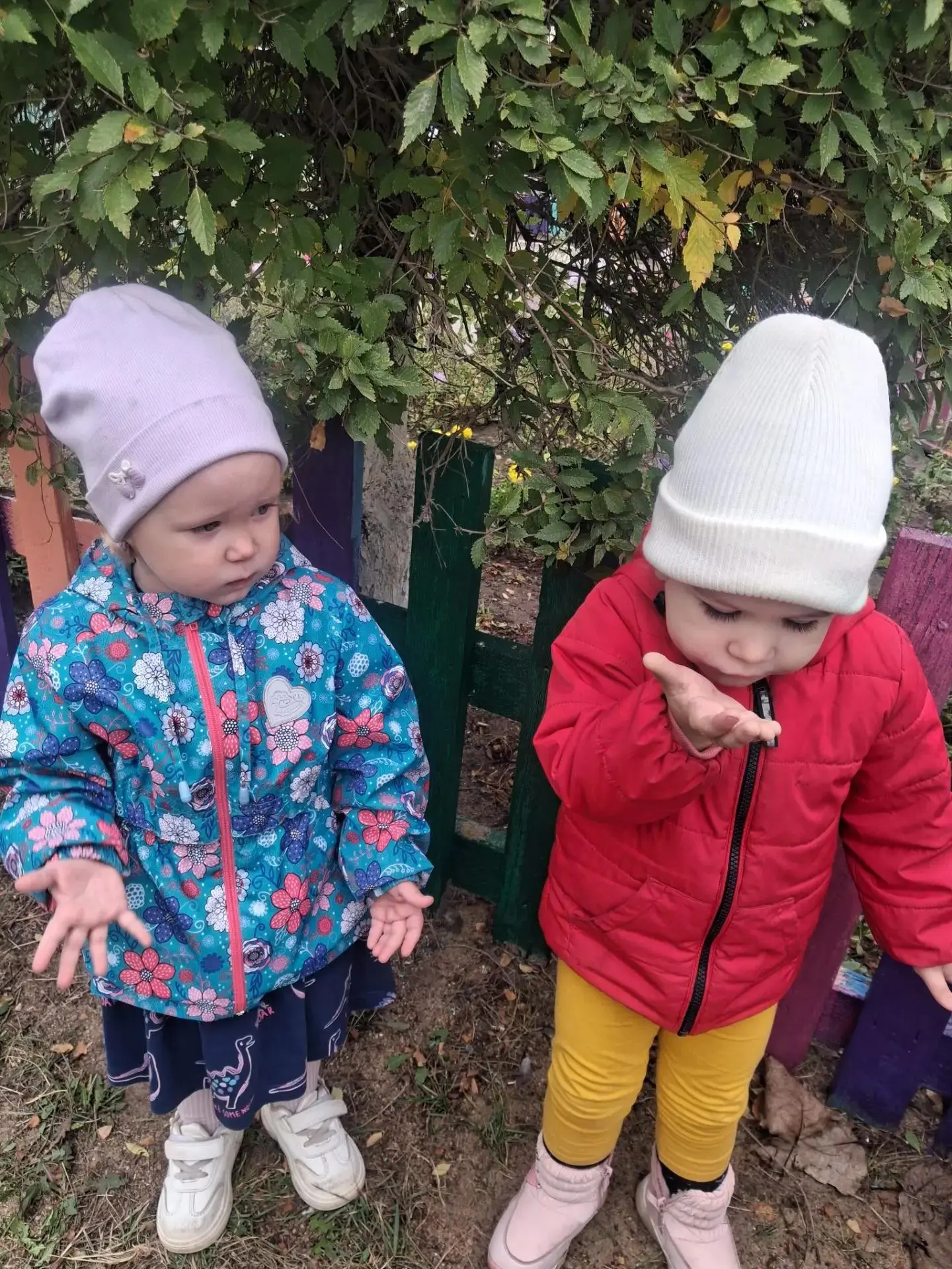 Осень — самое «листопадное» время года🍂 Во время прогулки мы с детьми наблюдали за сез...