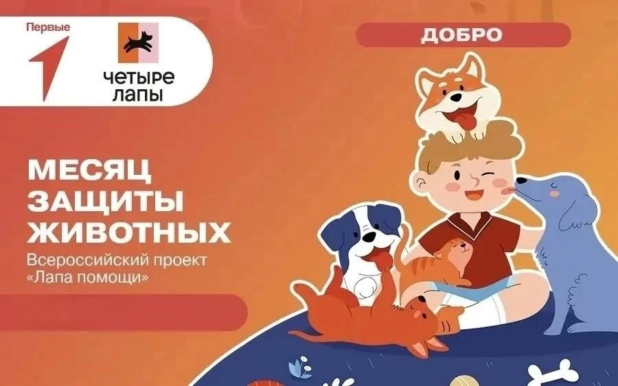 Лапа добра дотянулась до нашей школы!