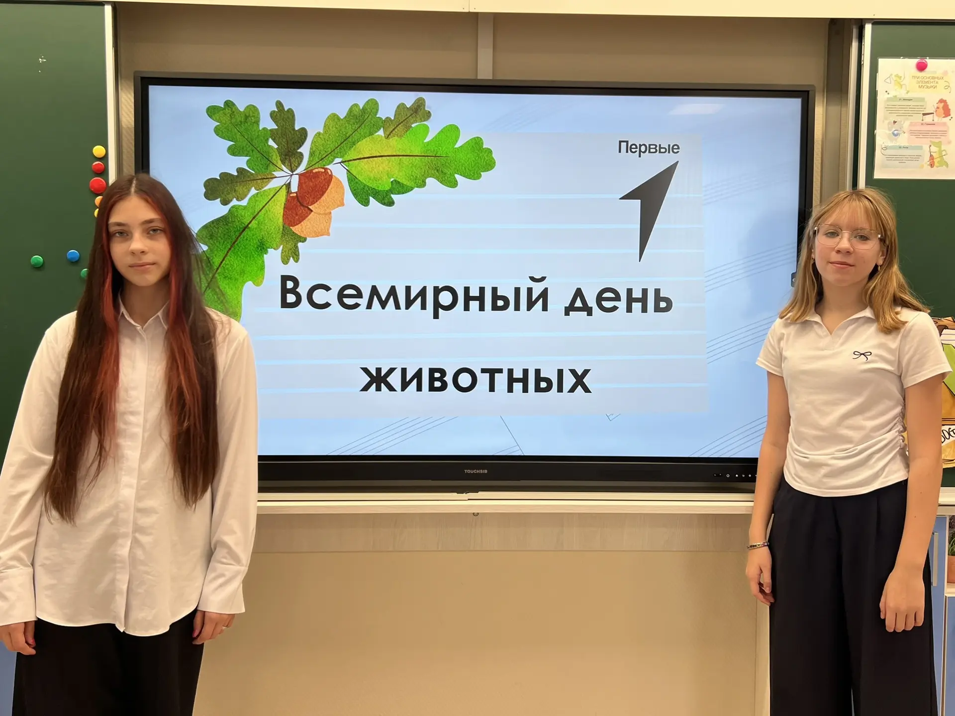 День защиты животных🎉