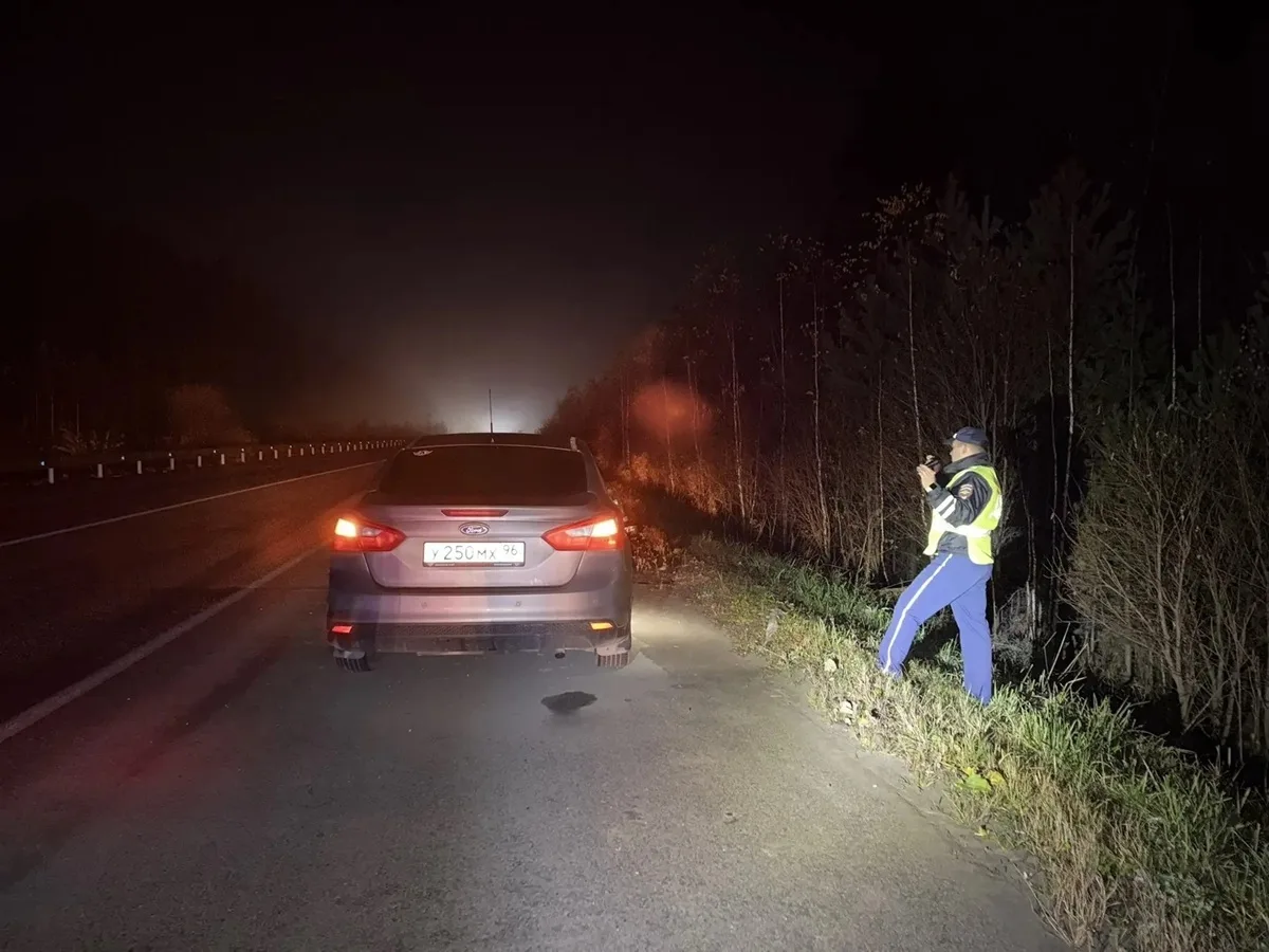 🛣 На 38 километре ЕКАД в Екатеринбурге 50-летний мужчина, размахивая руками, выбежал н...