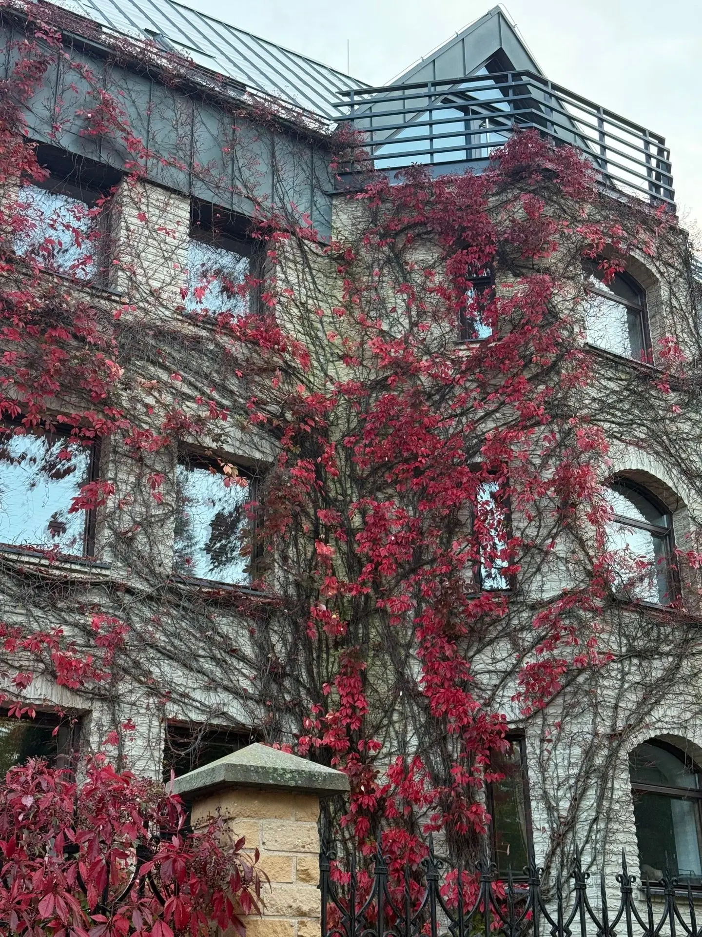 За что я люблю осеннюю пору в Калининграде? 🍂