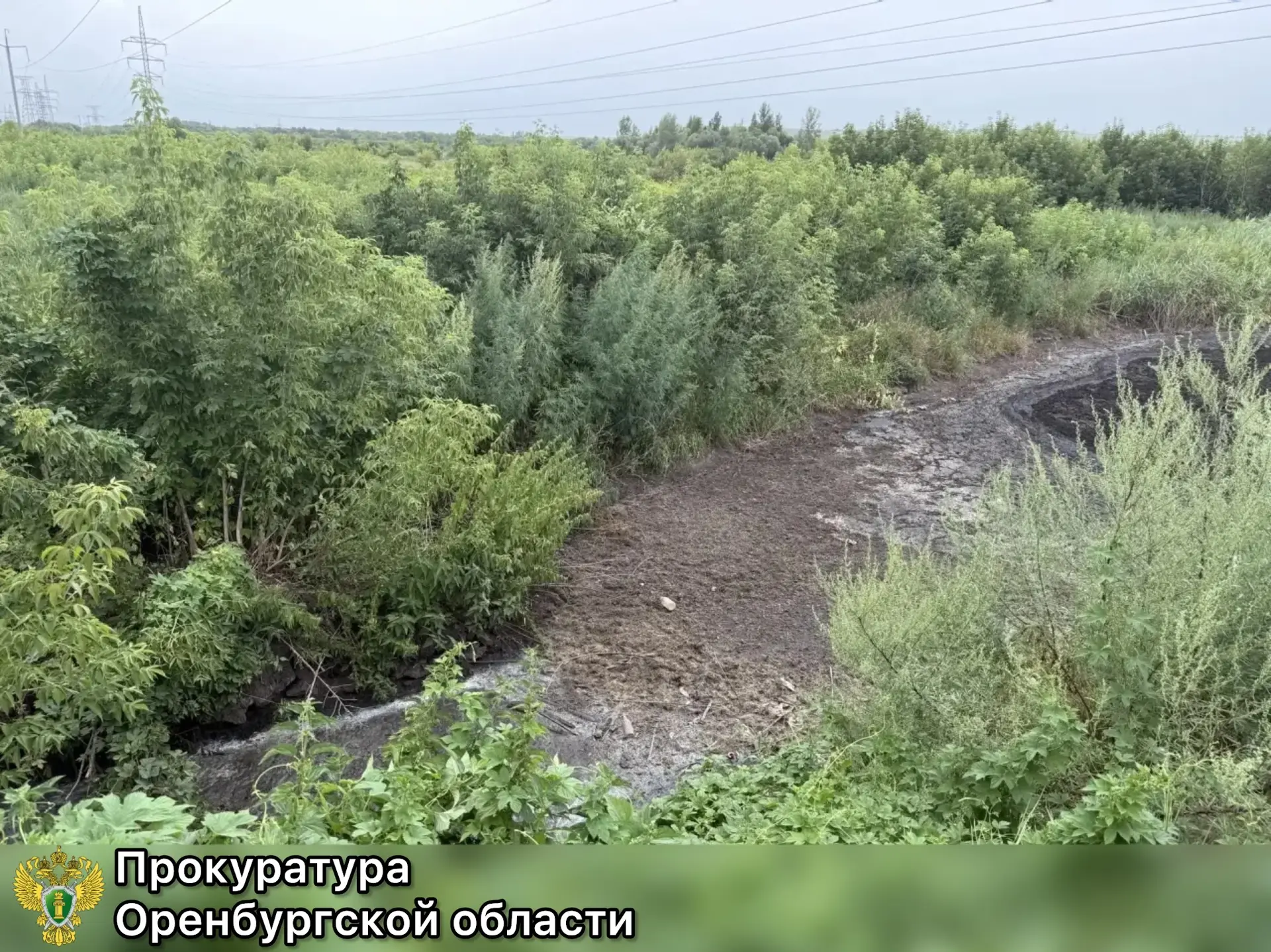 ❗️Надзорное ведомство добилось взыскания с предприятия более 14 млн рублей