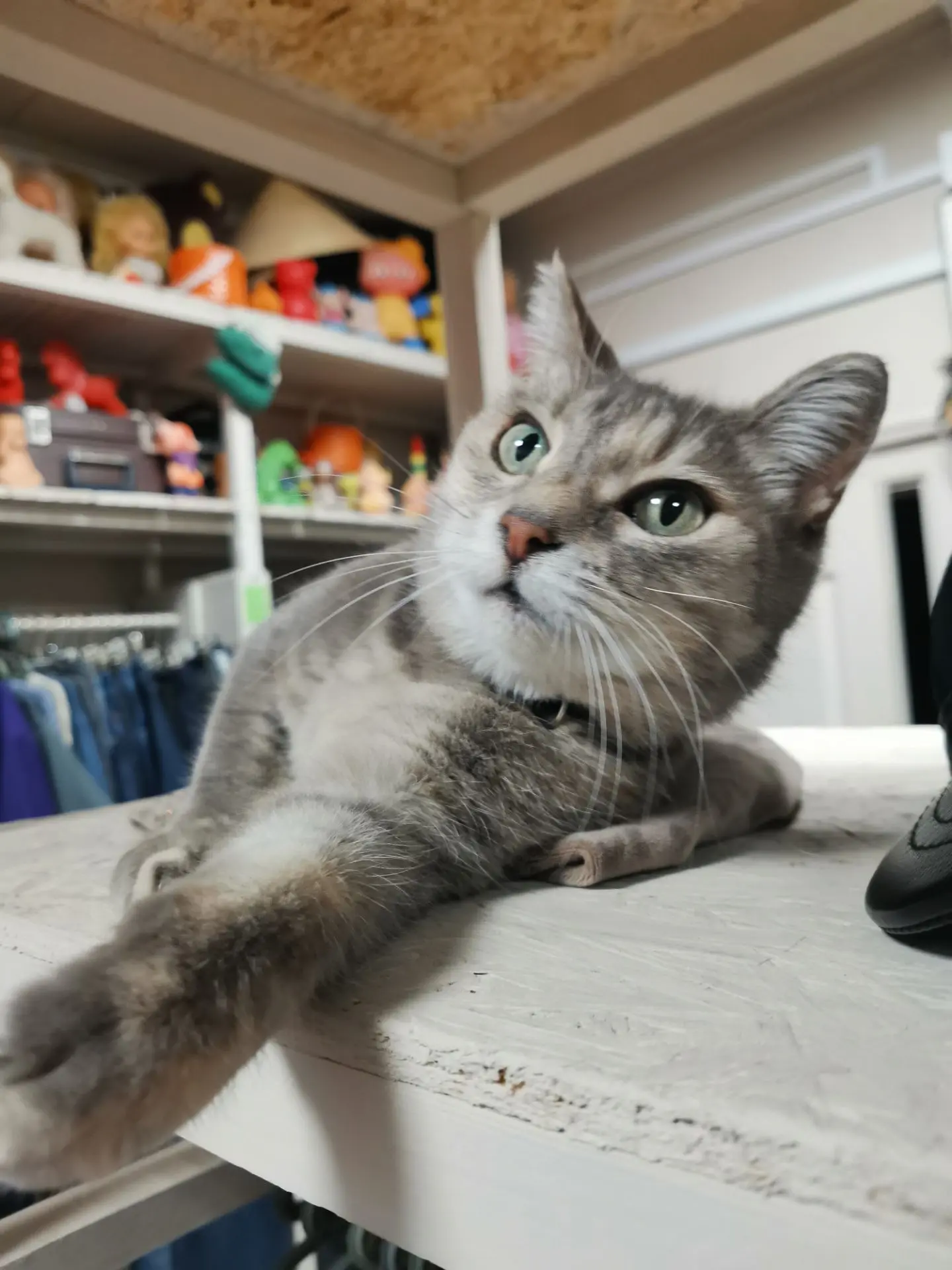 Красотка Клюква балдеет от нашей распродажи, присоединяйтесь ❤️