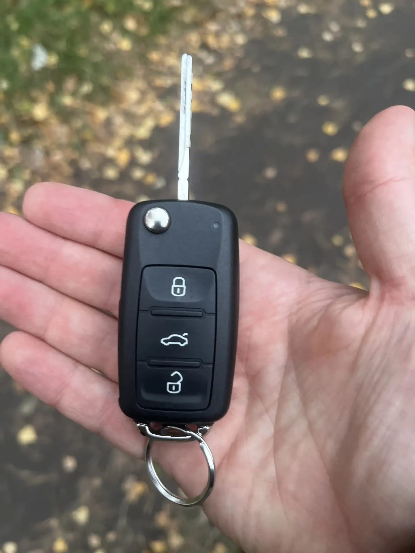 Утеряны ключи от автомобиля «Фольксваген», черный ключ с кожаным брелком, от санатория ...