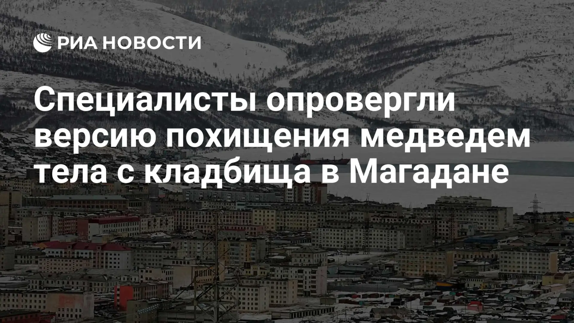 🌍 Специалисты опровергли версию похищения медведем тела с кладбища в Магадане