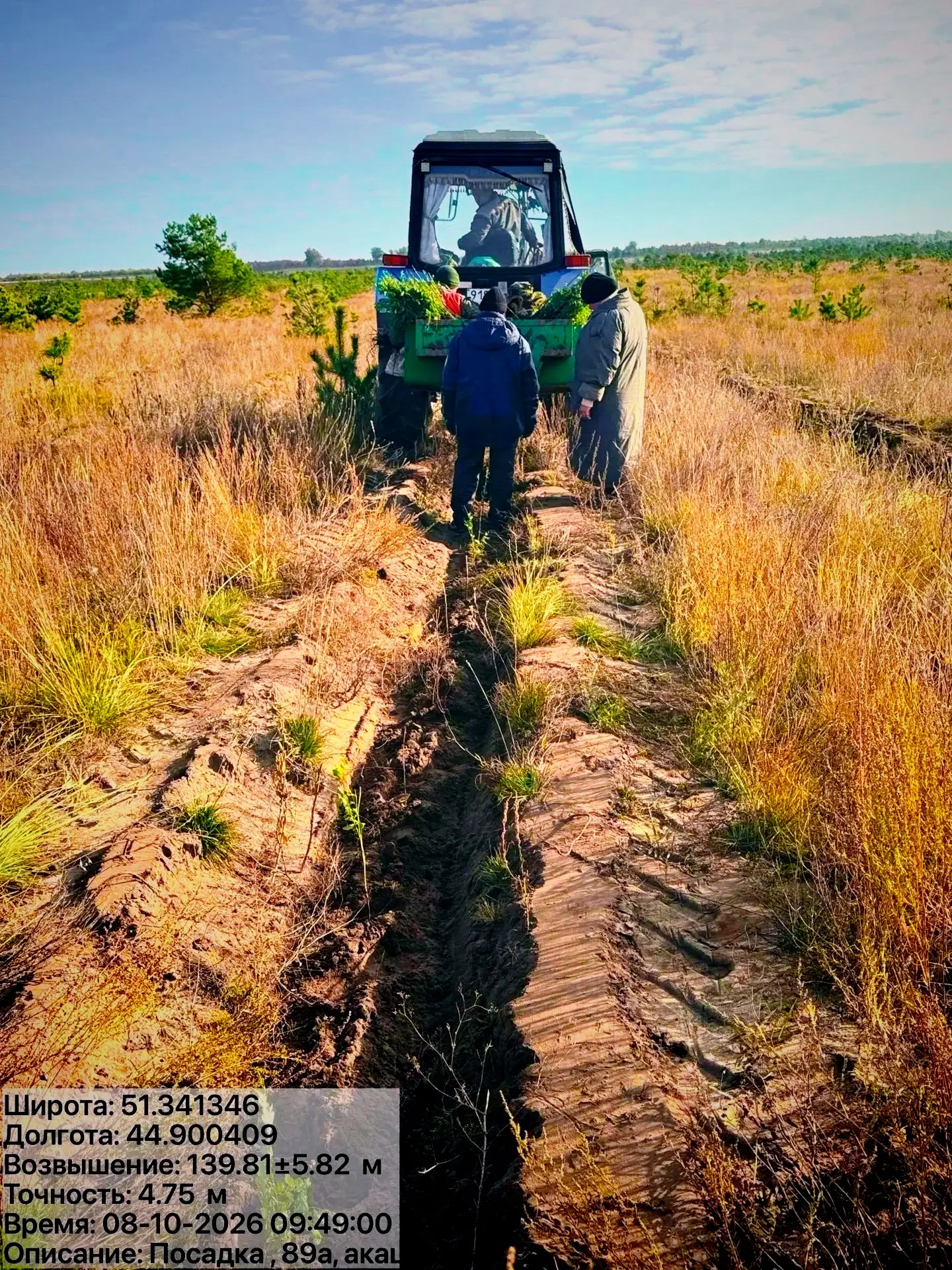 🌲🌳 В Лысогорском районе начался сезон посадки леса