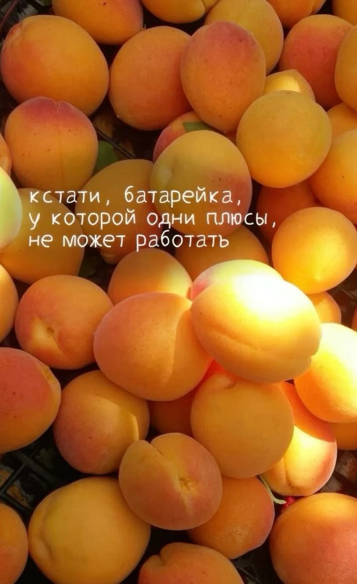 Ссориться - это нормально. Главное - как вы из этого выходите.