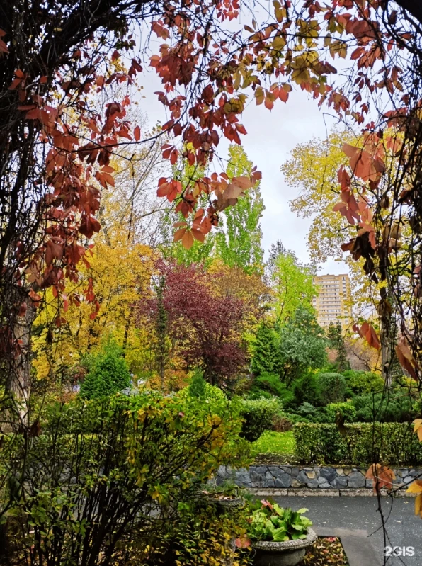 🍂 Парки прекрасны в любое время года