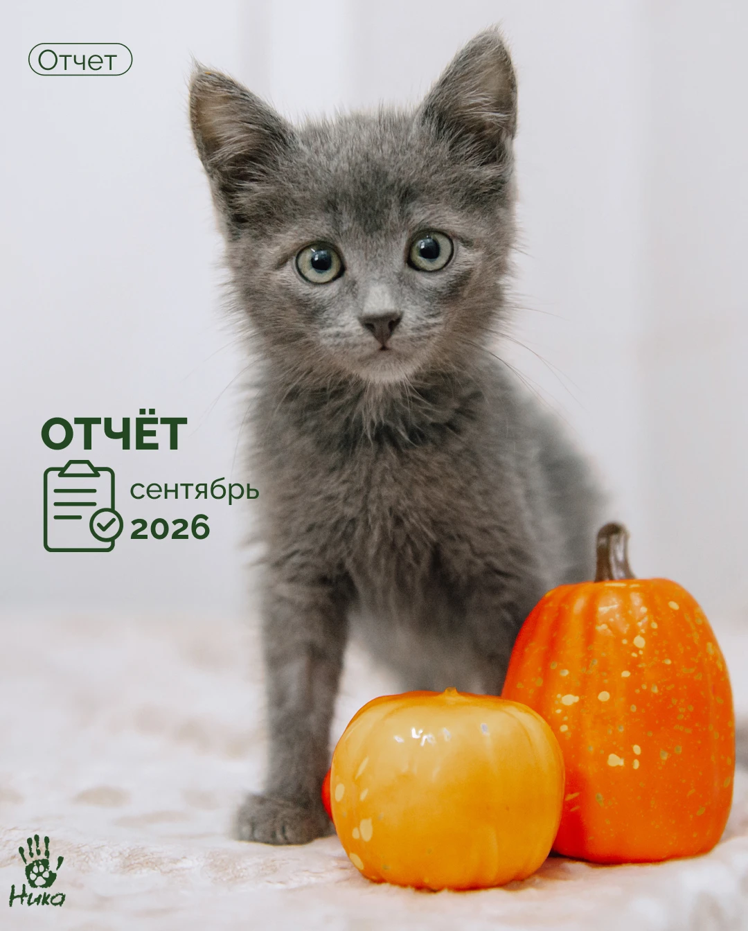 ✅ Отчёт за сентябрь