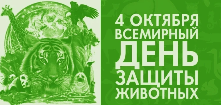 🐼4 октября — Всемирный день защиты животных🐻‍❄.