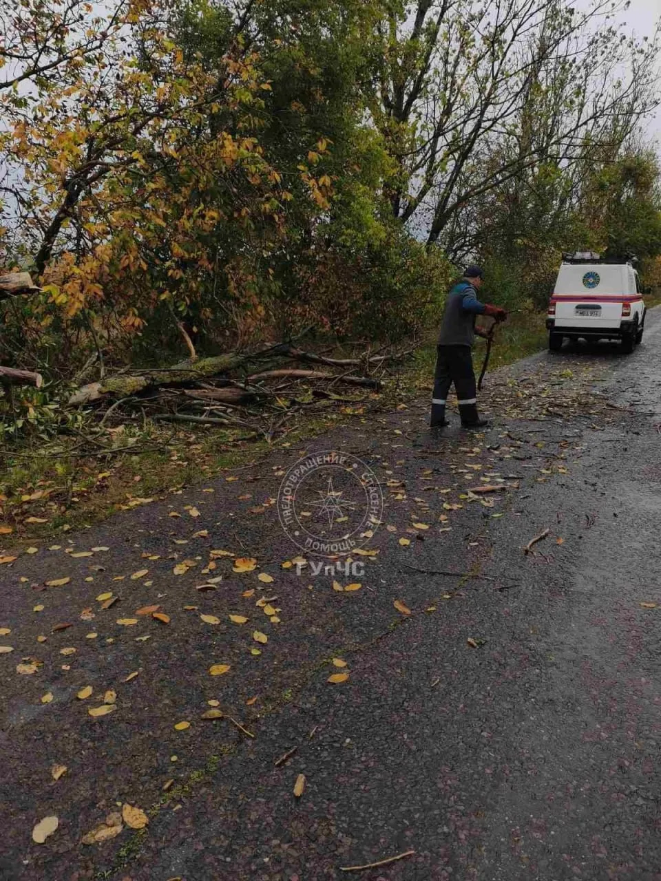 Рыбницкие спасатели при въезде в село Мокра убрали упавшее старое дерево с проезжей час...