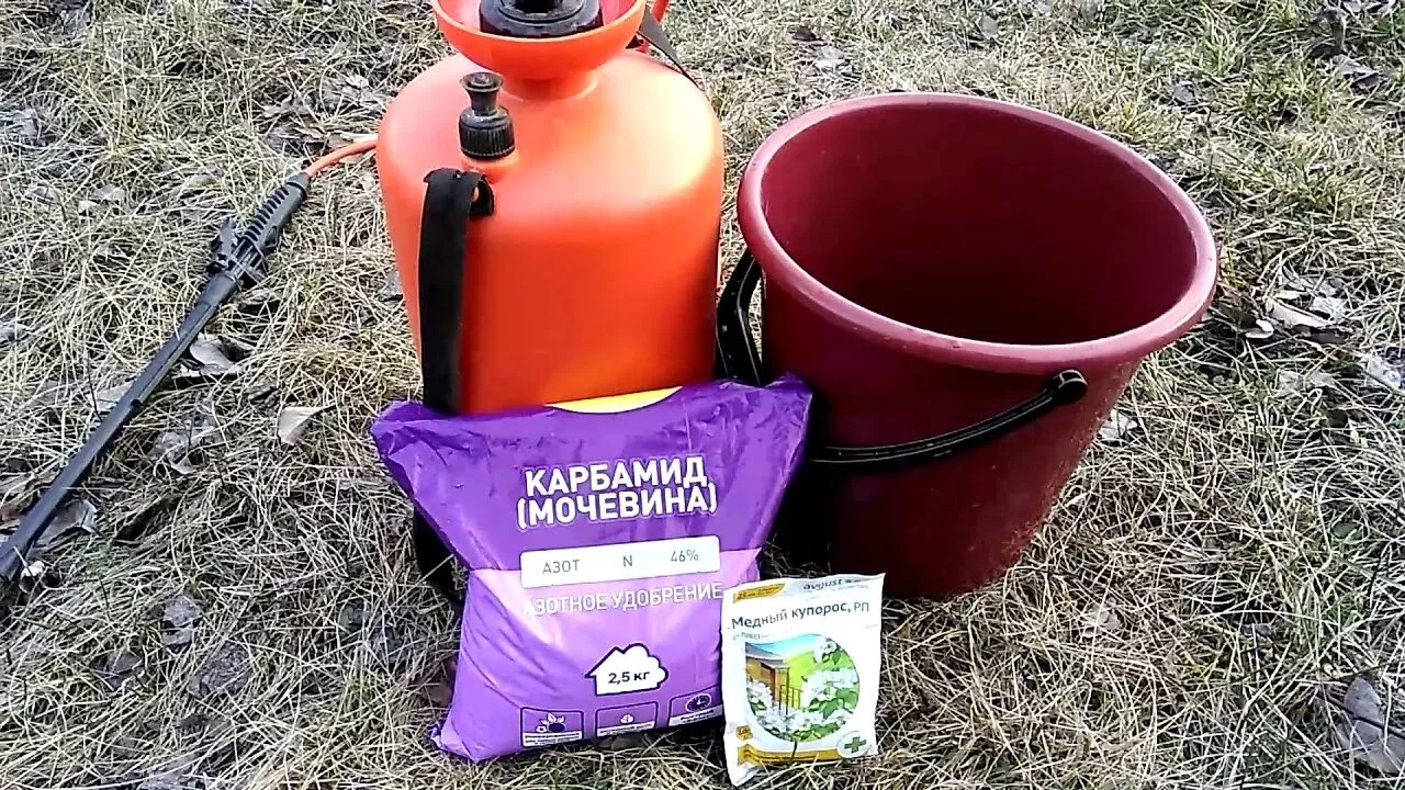 Шоковая терапия для сада
