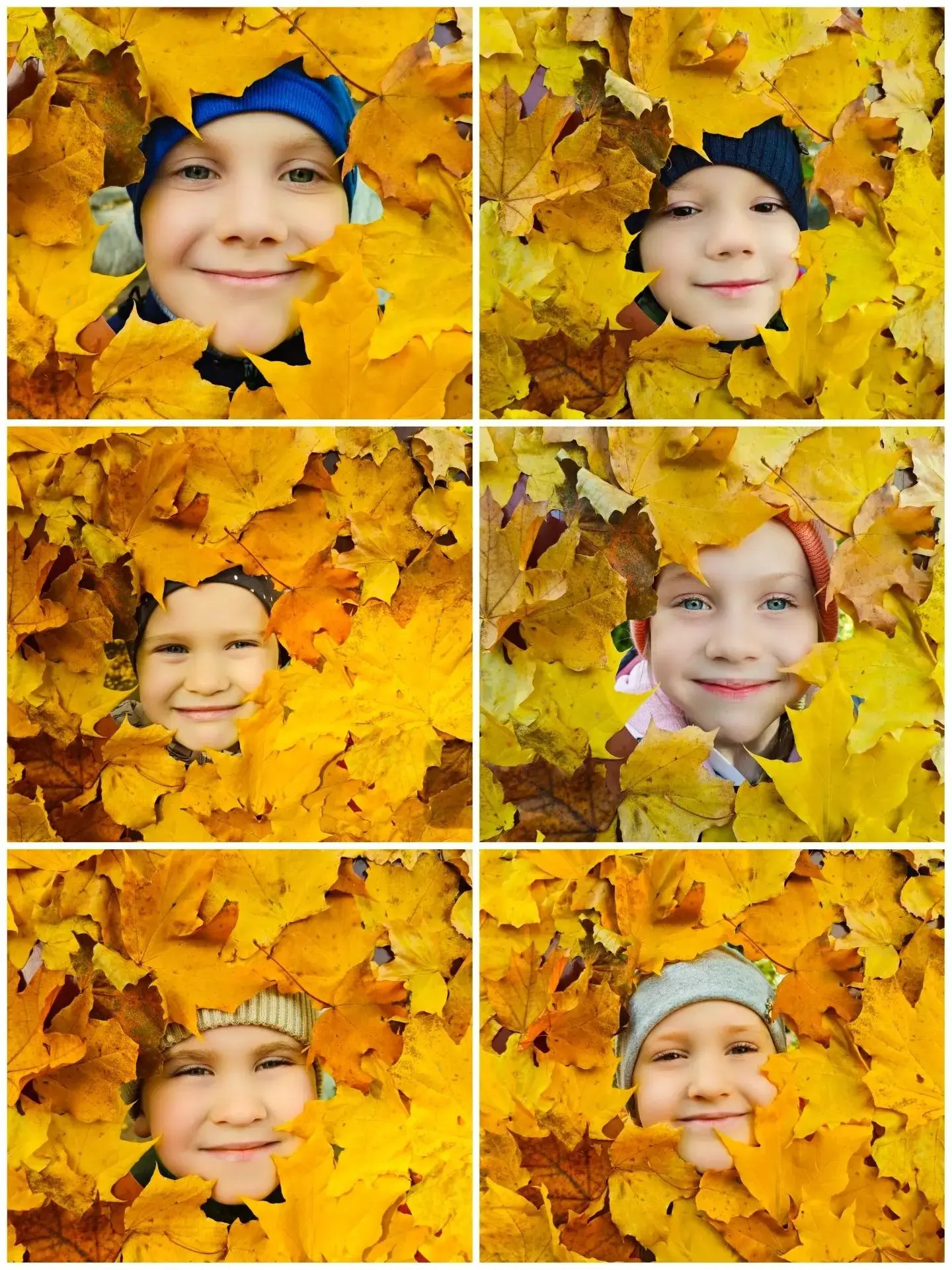 «Осенний ковёр: творим вместе!» 🍁