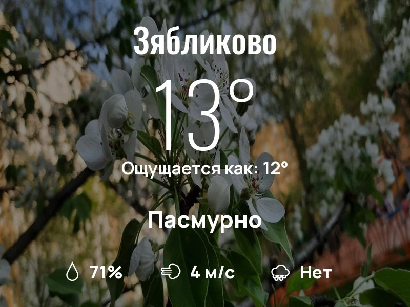 Что с погодой в Зябликово?