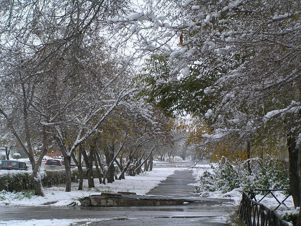 ❄️Зима в Саяногорске будет аномально тёплой и даже бесснежной
