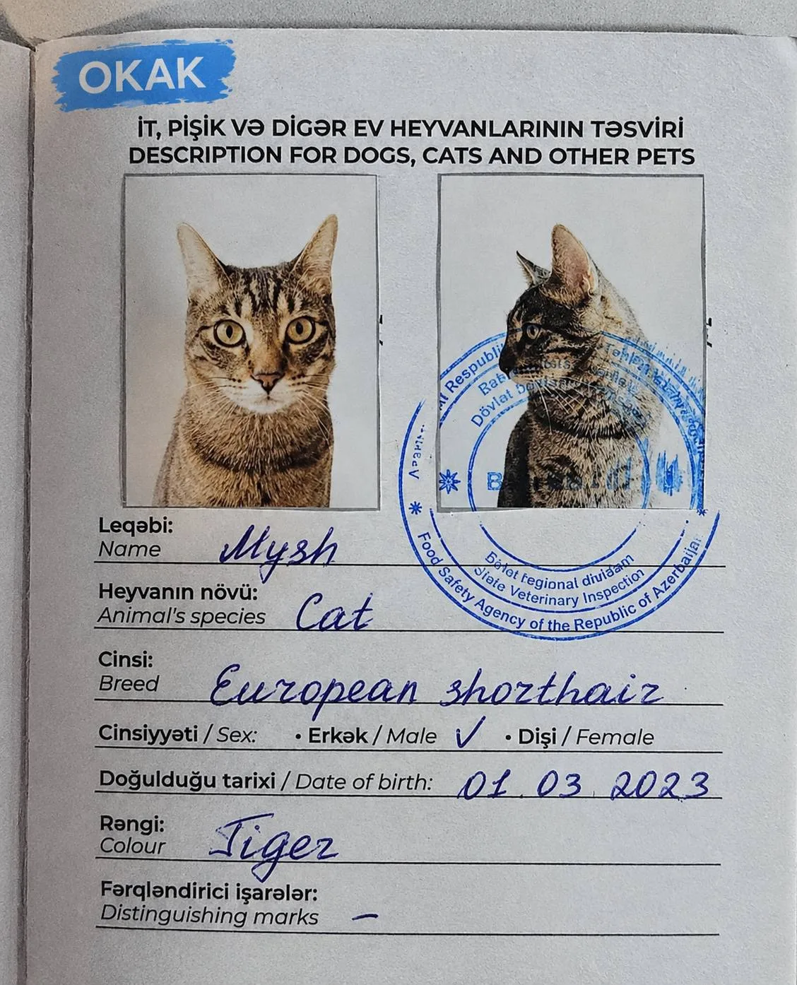 😁 В Азербайджане котам выдают настоящие ПАСПОРТА — с фотографиями анфас и в профиль, б...