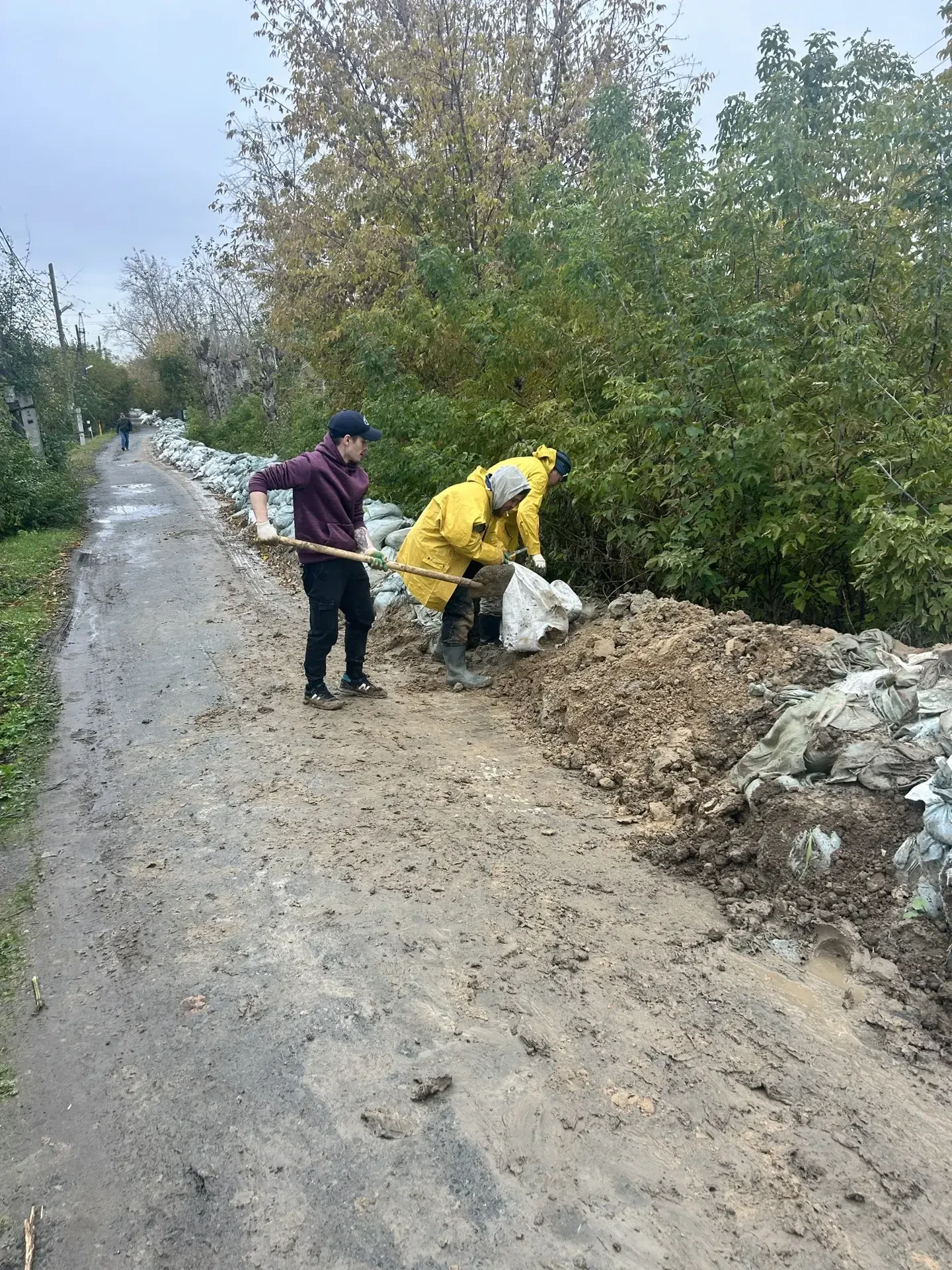 Пришло время убирать мешки