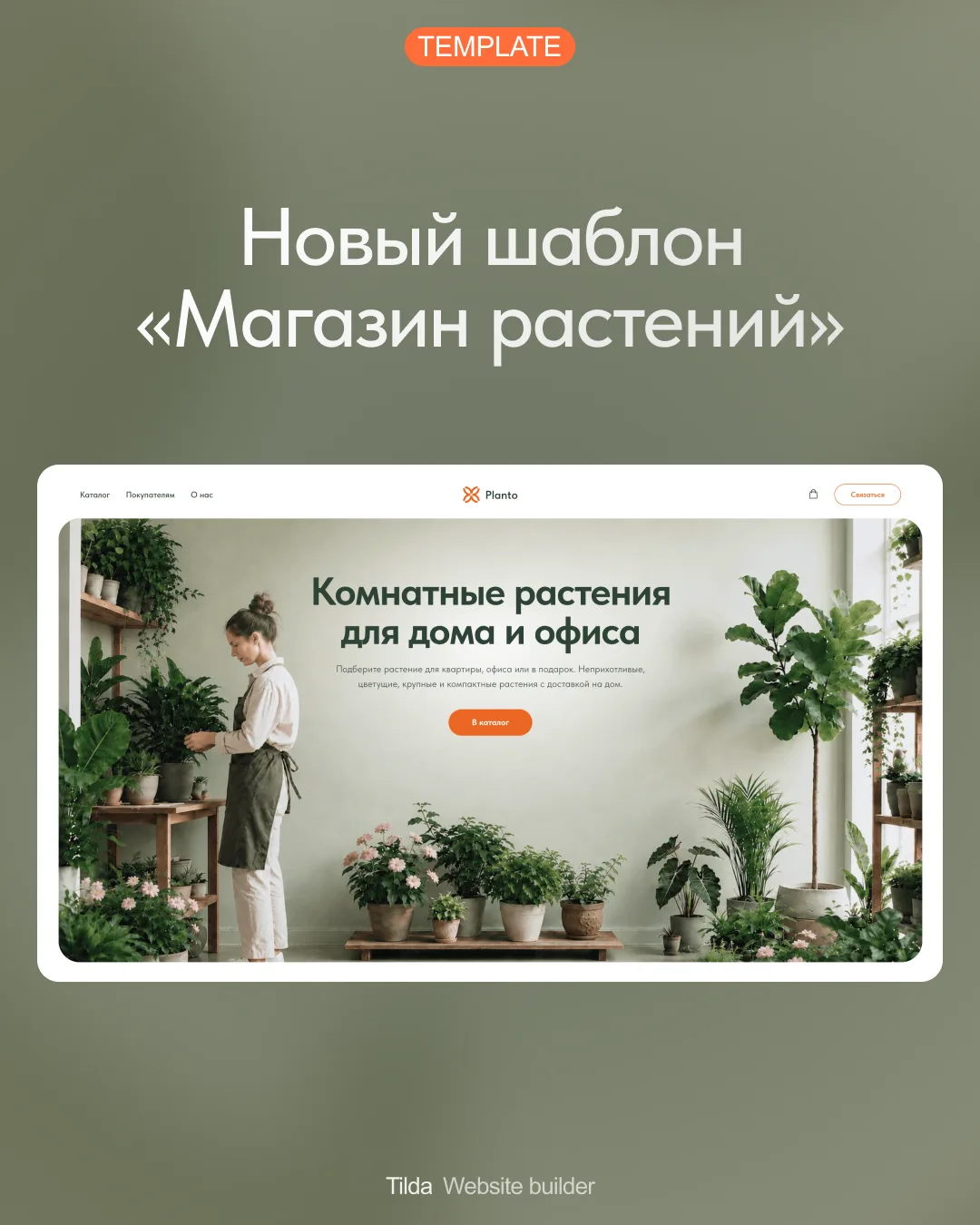 🆕 Магазин комнатных растений — новый базовый шаблон
