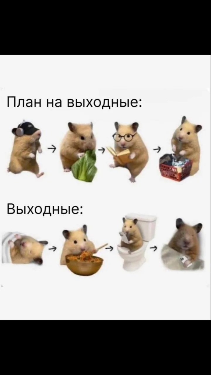 Подпишись на Весёлого Душнилу
