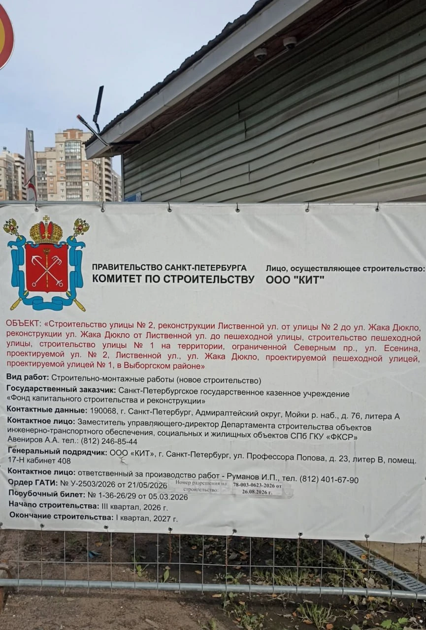 🪓 На севере Петербурга снова пилят. В прямом и переносном смысле