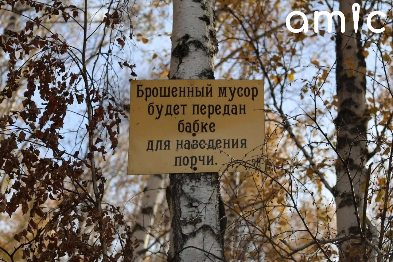 Вот такие таблички в роще на Солнечной поляне.