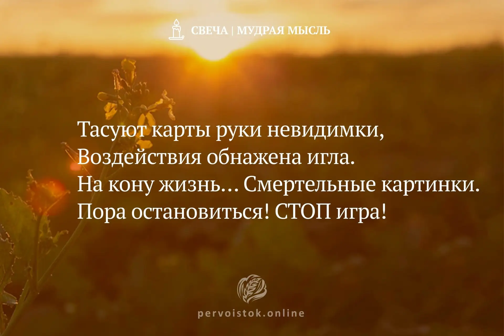 #СвечаДня → мудрость, воспринятая с вечера. #НаПодумать…
