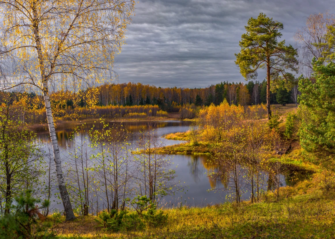 🌦 Небольшие дожди и до +20° ожидается в Курской области 13 октября