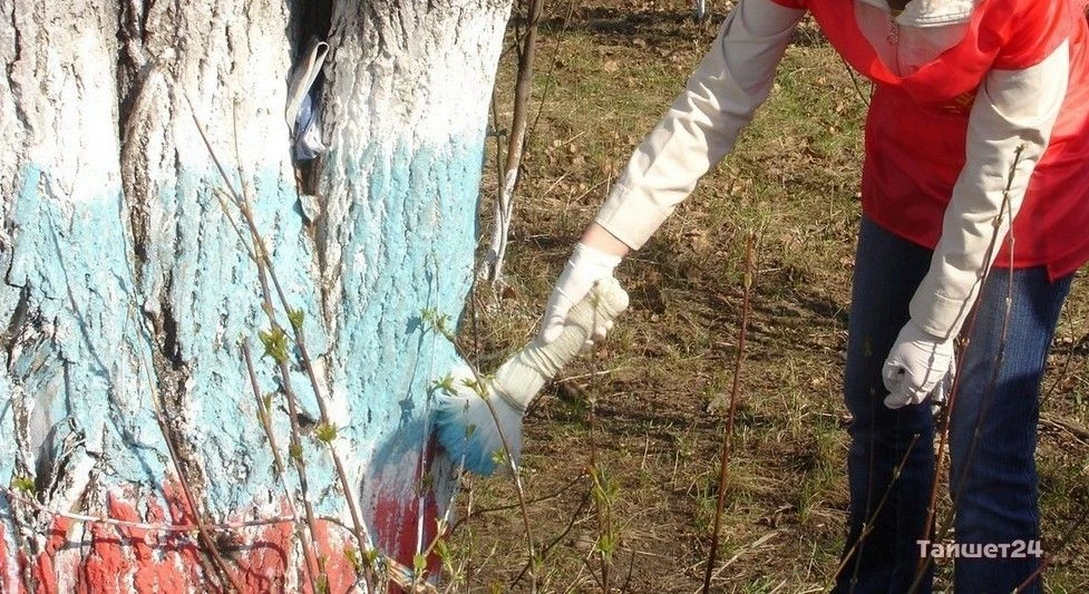 🗑 Депутат Госдумы от "Единой России" заявил о том, что участие педагогов в субботниках...