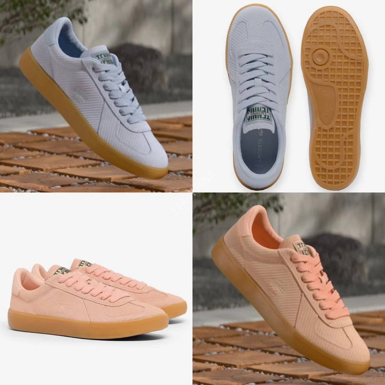 🐊Lacoste🐊