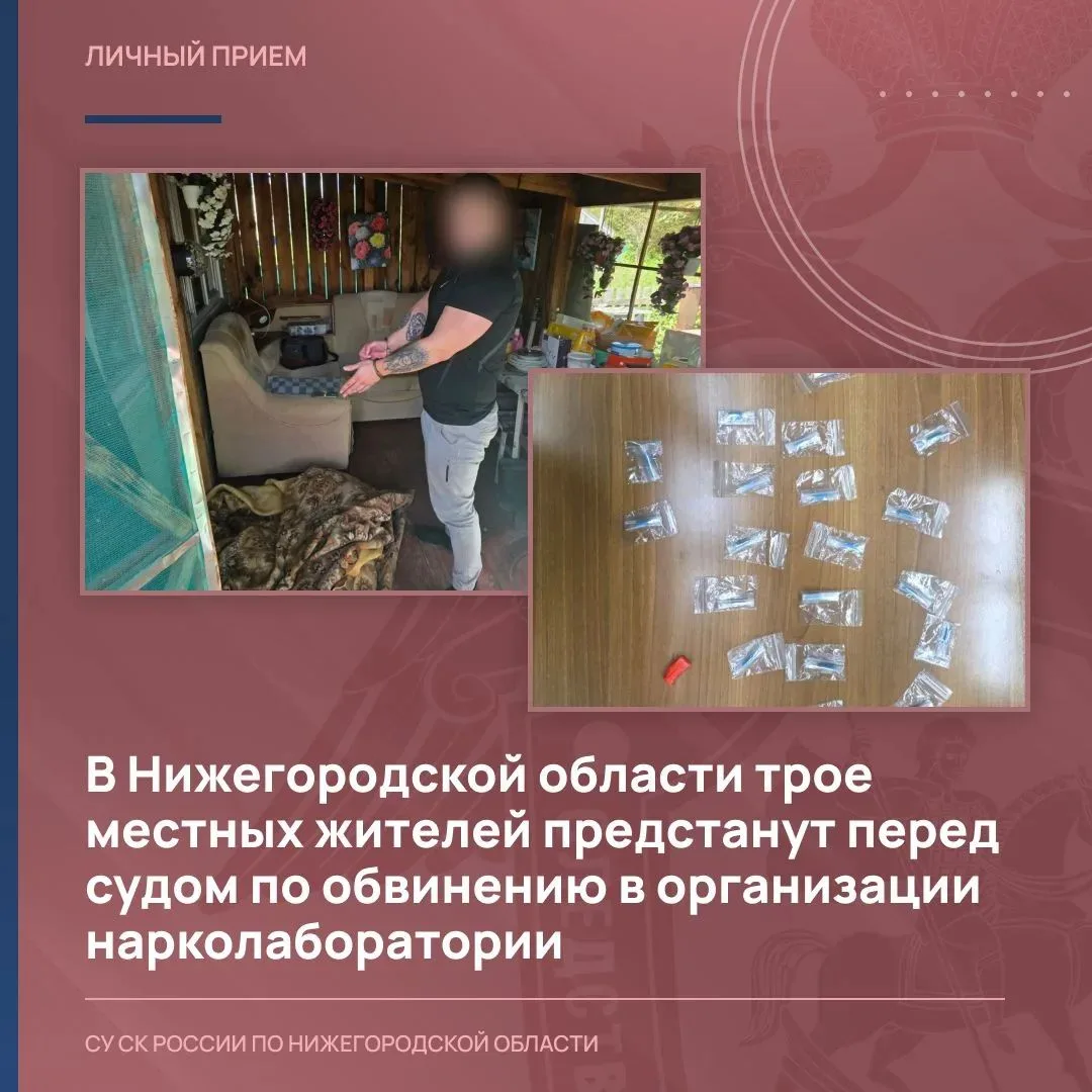 В Нижегородской области трое местных жителей предстанут перед судом по обвинению в орга...