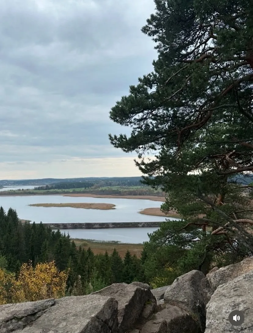 Осенних тонах 🌲