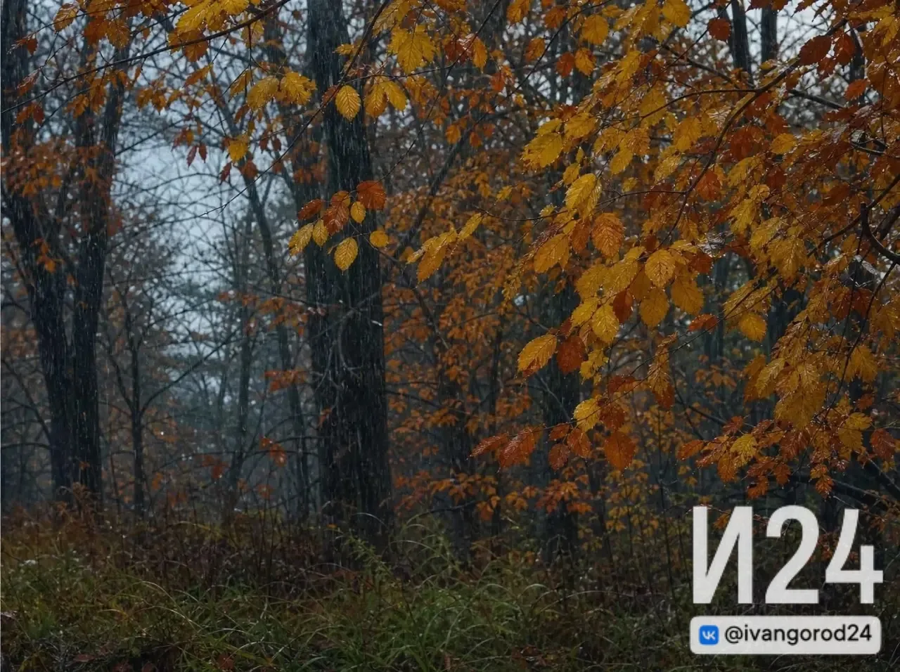 🌧️ Ивангород, доброе утро!