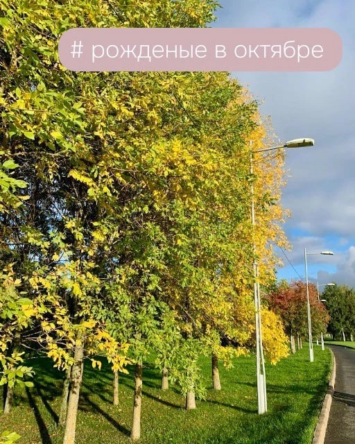 # рожденные в октябре