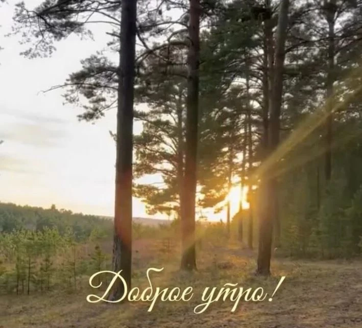 🌿Доброе утро!