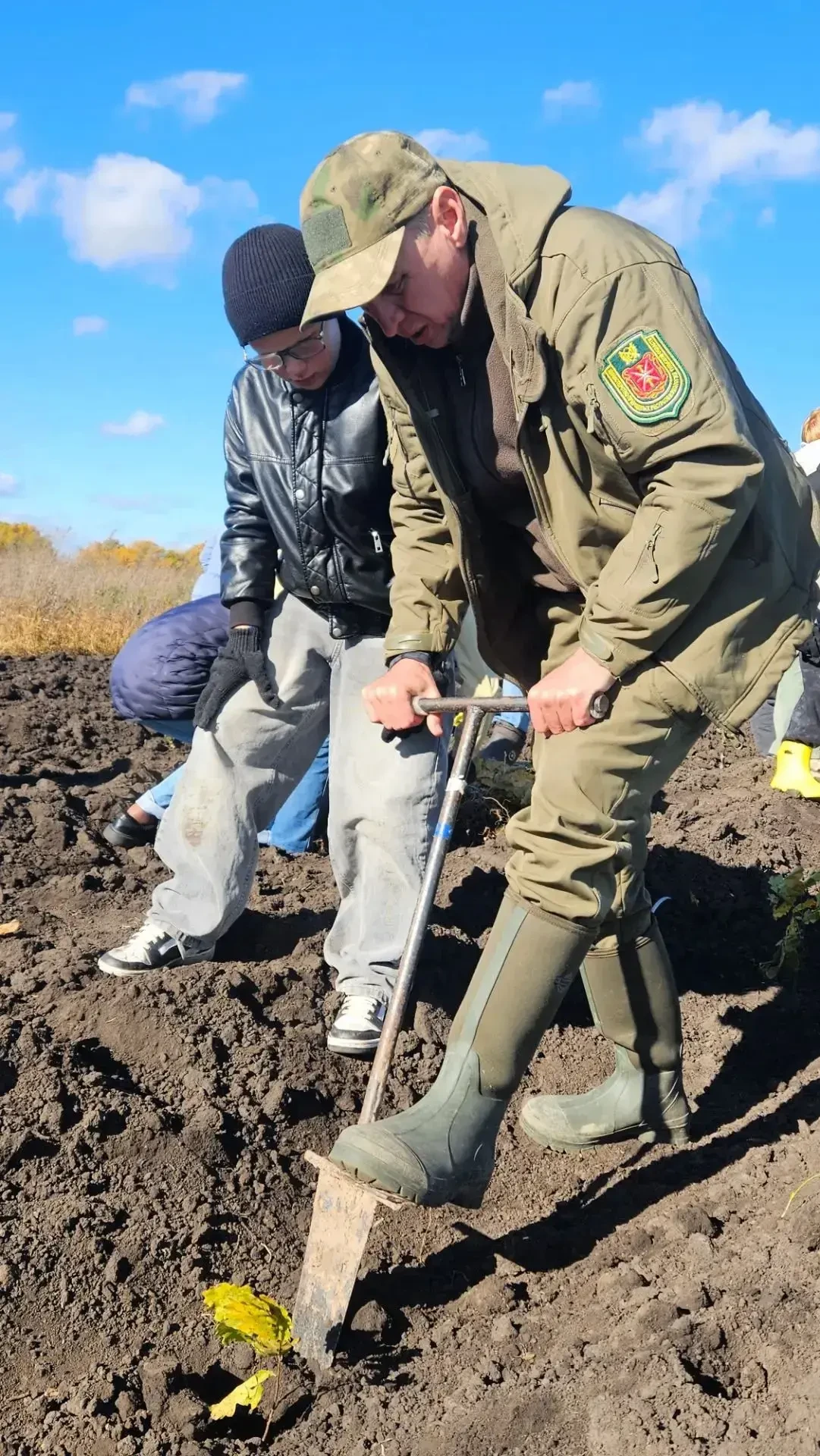 🌳 На Куликовом поле высадили 5,5 тысячи саженцев дуба