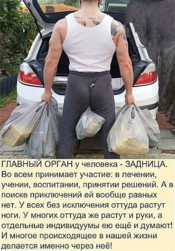 😂 Чисто поржать 🤣