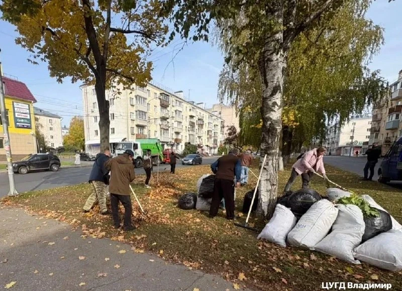 Во Владимире прошел общегородской субботник. На уборку вышли трудовые коллективы, актив...