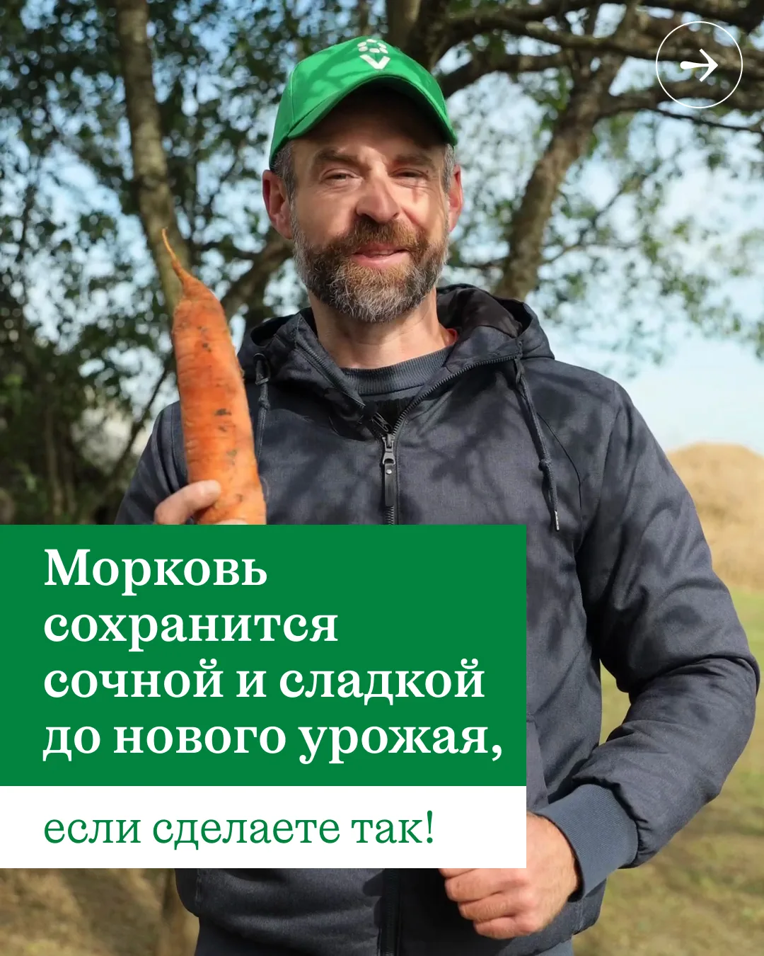 🥕 Морковь будет сочной и сладкой хоть до самой весны, если хранить ее так!