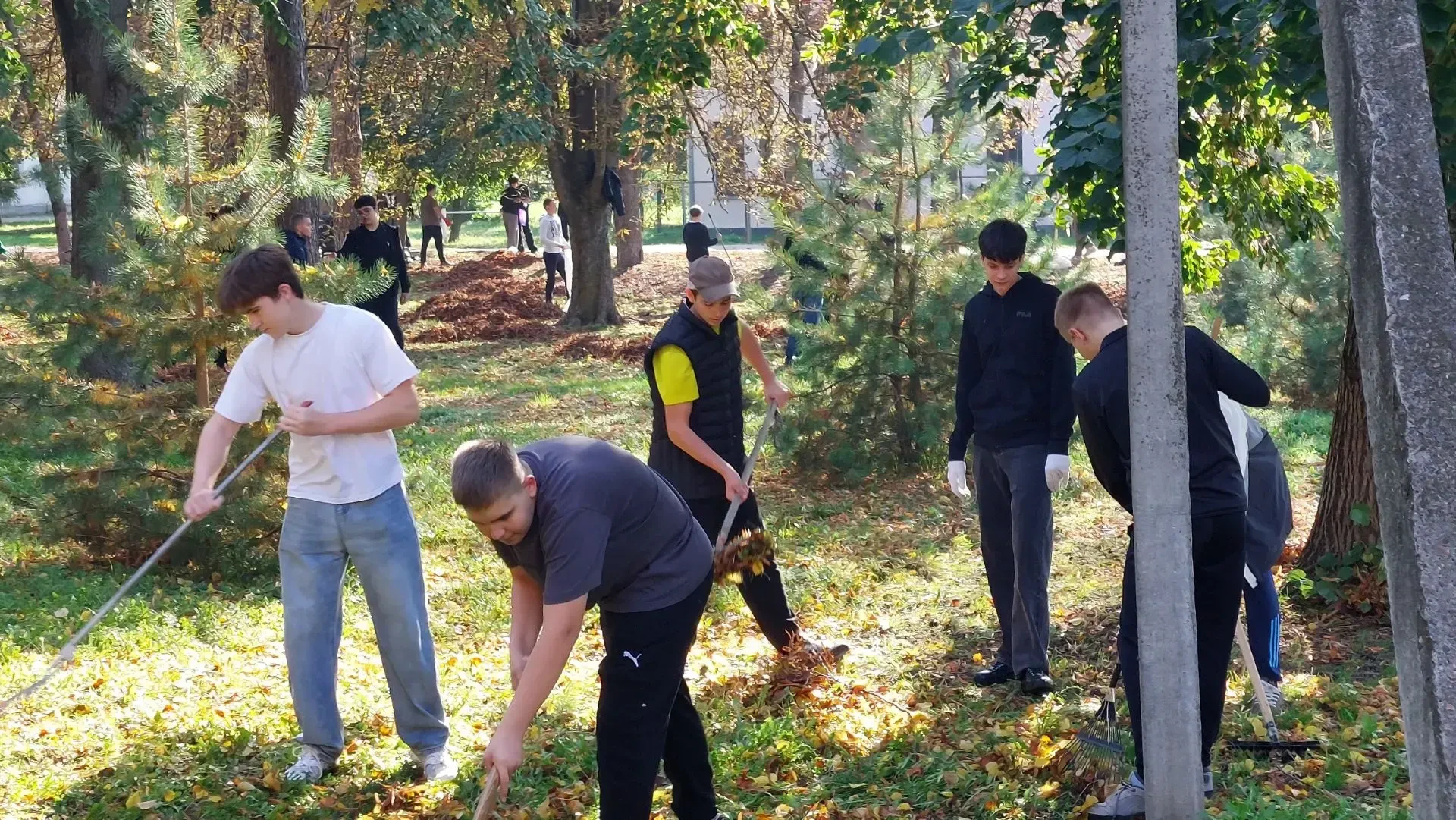 ☀️ Осенний солнечный день — идеальное время для доброго дела! 🍂