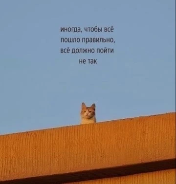 ☕️ Настройка дня