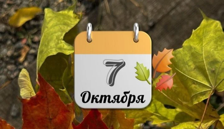 26 лунные сутки, символ дня- Жаба.