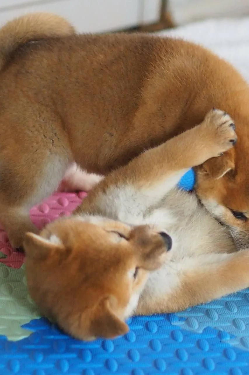 На игры малышей можно смотреть бесконечно 🧸❤️