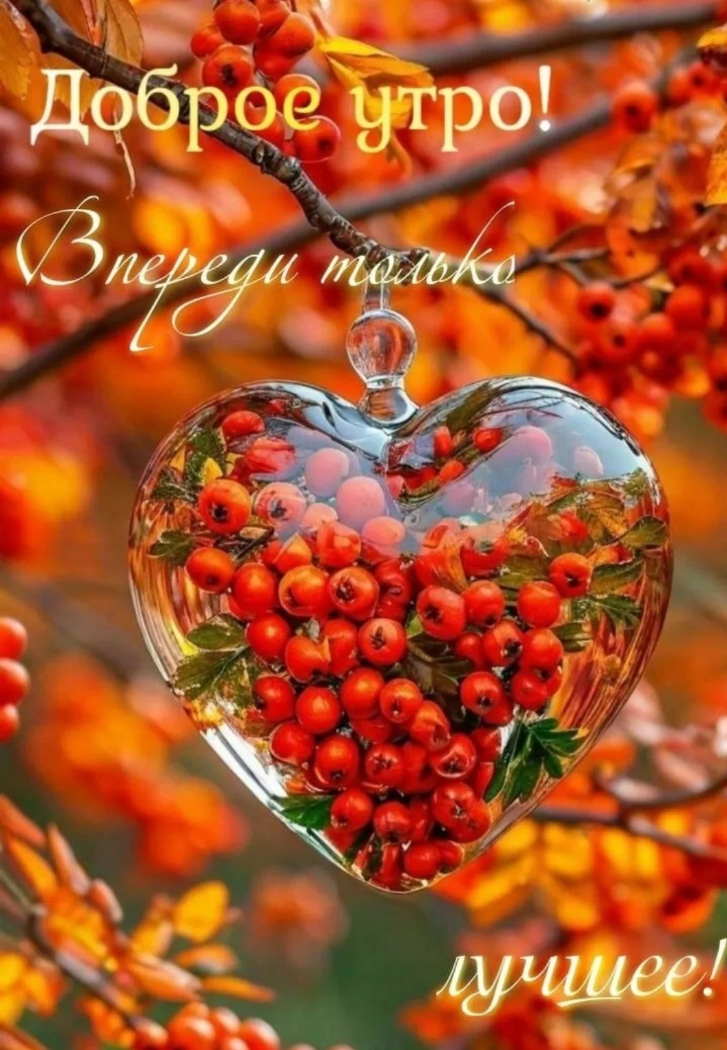 Всем доброе утро! 👋