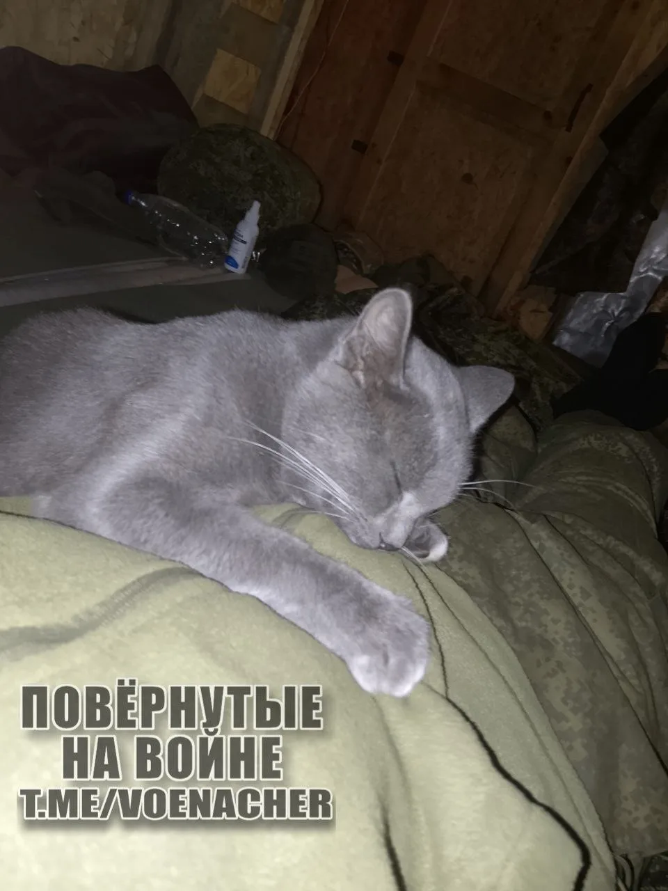 Доброе утро