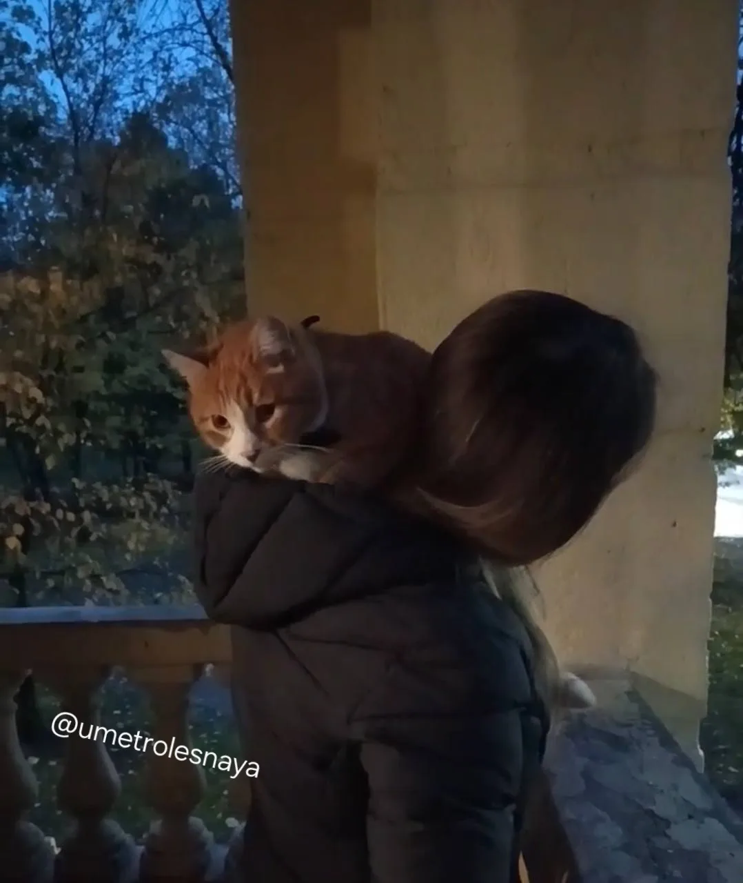 "Пуфик решил, что я тоже пуфик 🥰🥰🥰", - написала Татьяна)